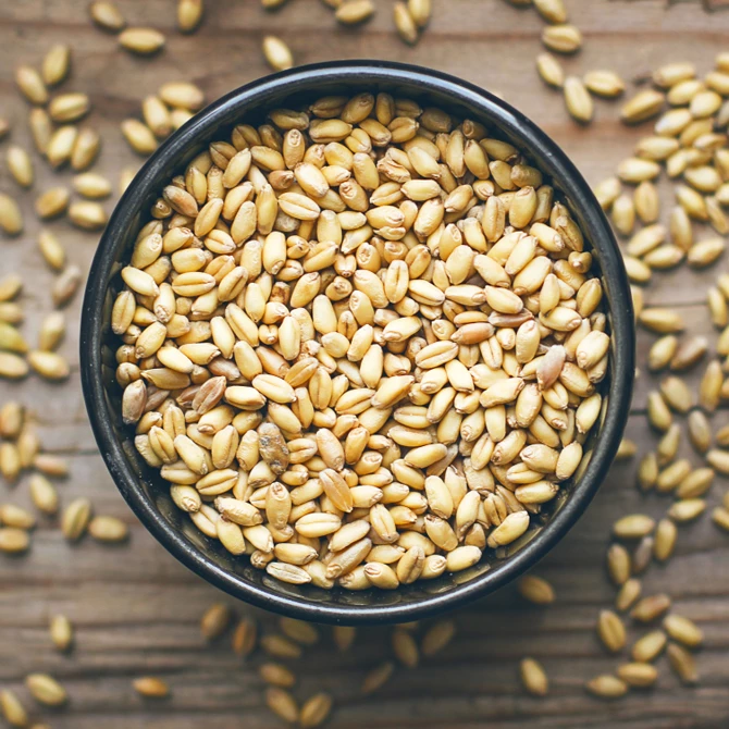 Hopline, dostawca sprzętu do warzenia piwa