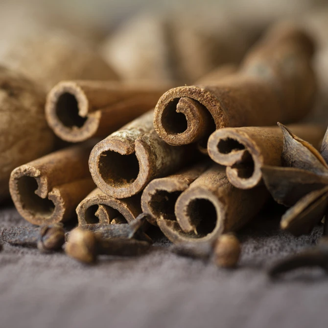 Hopline, dostawca sprzętu do warzenia piwa