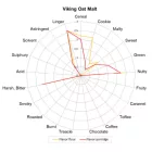 Słód owsiany Viking