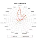 Słód Viking Carabody