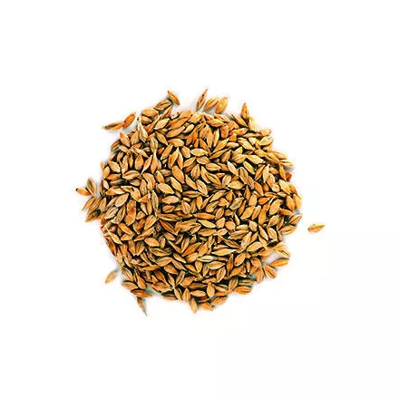 Słód Simpsons Dextrin