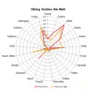 Słód Viking Golden Ale