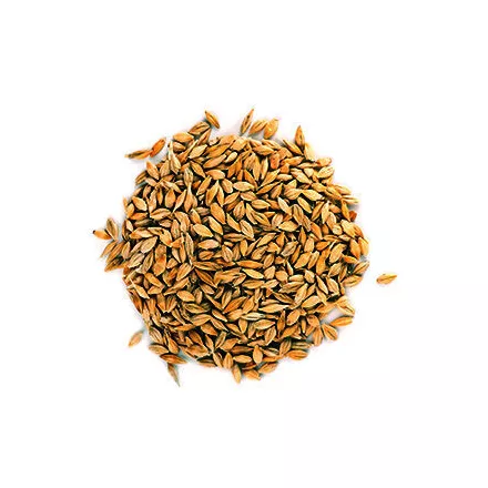 Słód Viking Golden Ale 10 kg