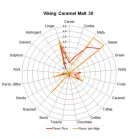 Viking Caramel 30 słód