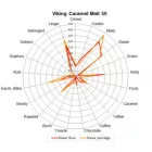 Viking Caramel 50 słód