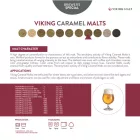 Viking Caramel 400 słód