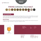 Słód Viking Caramel Pale