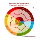 Słód Weyermann Special W