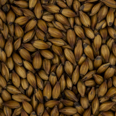 Słód Simpsons Crystal Extra Dark