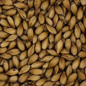 Słód Simpsons Crystal T50