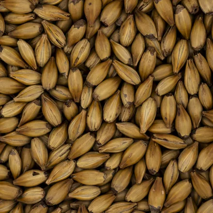 Słód Simpsons Crystal T50