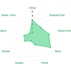 Chmiel African Queen 30 g