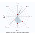 Chmiel Challenger 100 g