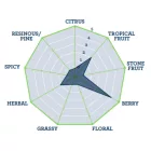 Chmiel Nelson Sauvin 1 kg