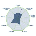 Chmiel Northern Brewer 30 g