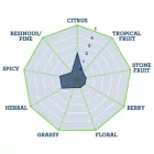 Chmiel Pacific Jade 30 g