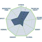 Chmiel Polaris 100 g