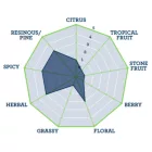 Chmiel Tettnanger 30 g