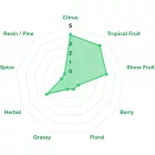 Chmiel Nectaron 100 g