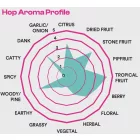 Chmiel Superdelic 100 g