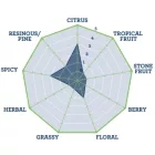 Chmiel Southern Cross 1 kg