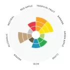 Drożdże Lalbrew Abbaye