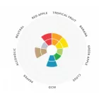 Drożdże Lallemand Wit