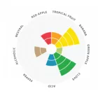 Drożdże Lallemand Munich Classic