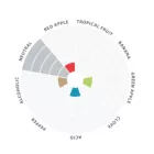 Drożdże Lallemand Nottingham