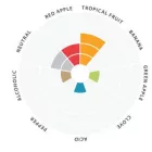 Drożdże Lallemand New England