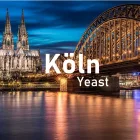 Brewline Drożdże kolońskie 12 g