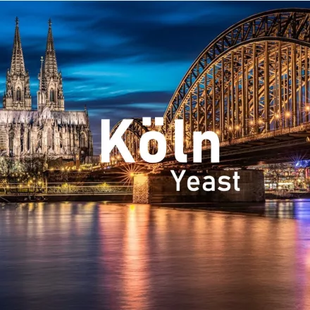 Brewline Drożdże kolońskie 12 g