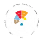 Drożdże Lallemand Verdant IPA