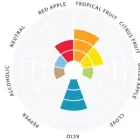 Brewline Sour – drożdże kwaśne 12 g