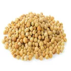 Kolendra indyjska 25 g