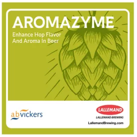 Enzym Aromazyme 1 g