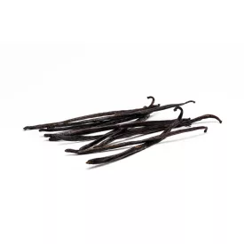 Laska wanilii Bourbon z Ugandy 1 szt.