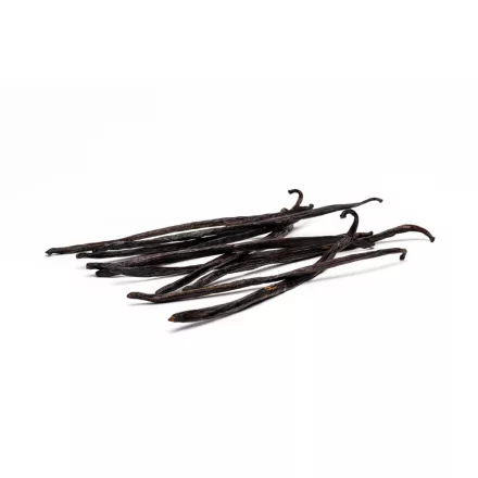 Laska wanilii Bourbon z Ugandy 1 szt.