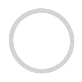 4" silikonowa uszczelka Tri-Clamp