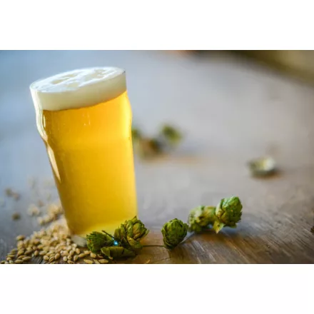 H-00540 Monachijskie Helles / Bawarskie Lager - 21 l - YEASTFLOW