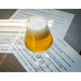 H-01040 Belga Blonde / Belgian Blonde 21L – YEASTFLOW