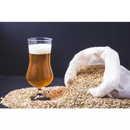 H-01110 Easy IPA 21L