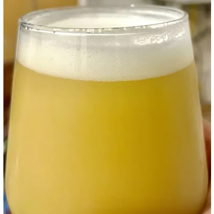 H-01230 RAW IPA o obniżonych kosztach