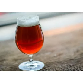 H-01810 Irish Red ale 21L