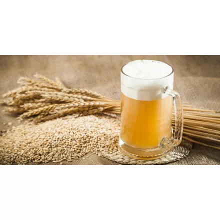 H-01910 Piwo pszeniczne / Witbeer 21 l