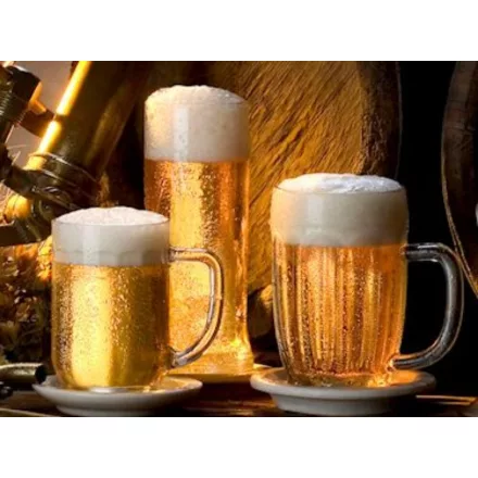 H-02610 Czeskie Pilsner 21L