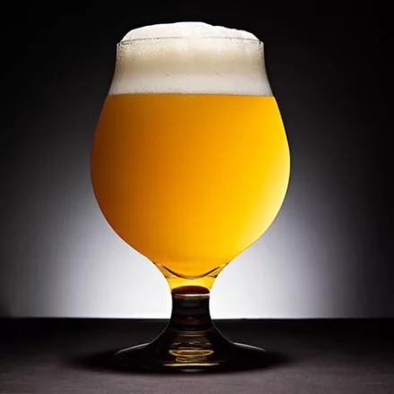H-02750 Table Saison Ale 21L
