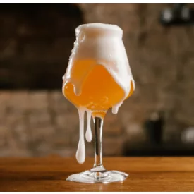 H-03120 Belgijski Tripel / Belgian Tripel 21L