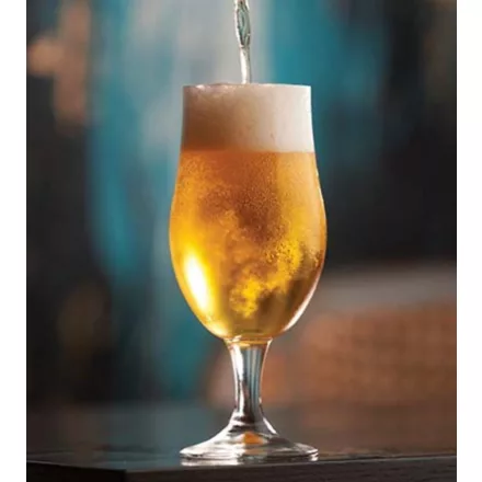 H-03350 Standard Saison Ale 21 l