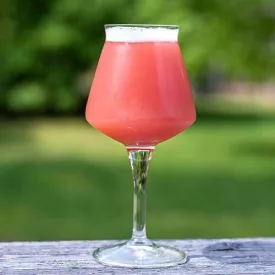 H-03740 Malinowe Kwaśne 21L - YEASTFLOW